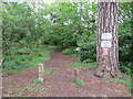 Path into Northmoor Hill Wood Nature Reserve