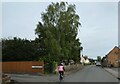 Cyclist heading north on Main Street