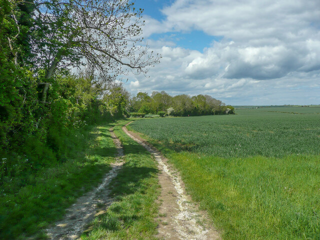 Bridleway, Wallington © Humphrey Bolton Cc-by-sa 2.0 :: Geograph 