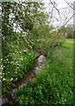 Elmbridge Brook, Westlands, Droitwich Spa, Worcs