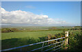 Fields at Thorne Hill