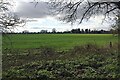 The saw-tooth profile of Red Lane near Kenilworth