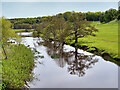 NU1813 : River Aln at Alnwick by David Dixon