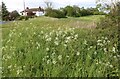 Green by Barton Road, Harlington