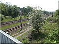 Low Fell railway station (site), Tyne & Wear