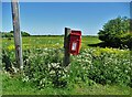 Postbox at Austen Fen