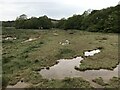 Carnon River floodplain