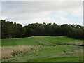 Muckhart Golf Club (Naemoor), 3rd Hole, The Bogle