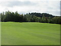 Muckhart Golf Club (Naemoor), 4th Hole, Wildboarclough