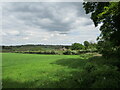 Barley field and Leys Farm