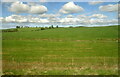 Cut silage field beside the Garroch Burn