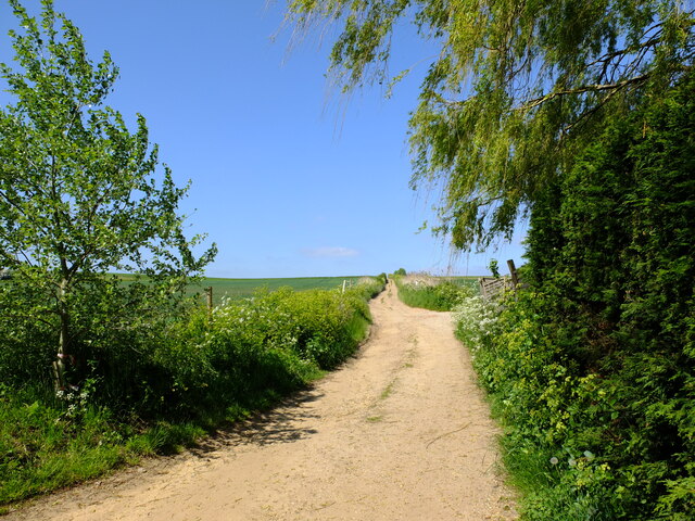 Track towards Shotley Village from Erwarton Bay
