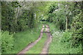 Track east from Witherington Road