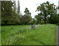 St. Peter, Ilmer: churchyard (c)