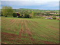 Arable farming near Netherhouse, Lesmahagow