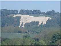 SE5181 : Kilburn White Horse by T  Eyre
