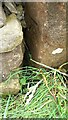 Benchmark on stone post at gateway on SE side of Cocking Lane