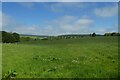 Fields above Rushwood Farm