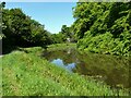 Forth and Clyde Canal