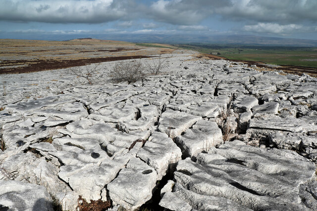 Limestone pavement in Great Asby Scar NNR