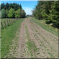 Farm track north of Roughdike