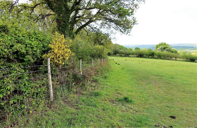 Footpath across Churchland Fields, Sedlescombe