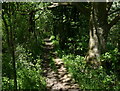 SP0275 : North Worcestershire Path near Hopwood by Mat Fascione