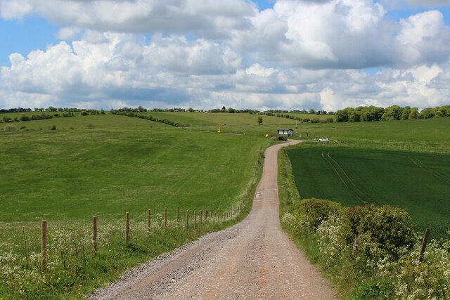 Track Descending On Tenantry Down Chris Heaton Geograph Britain And Ireland
