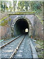 Railway tunnel under the Dawley to Wellington Road
