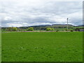 Grazing off the A76, Closeburn