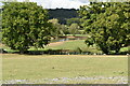 Lake near Crockham Hill