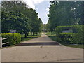 Driveway to Runcton Farm and Saltham Grange