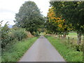 Road near Strageath Mains