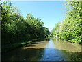 The Bridgewater Canal, north of Preston Brook tunnel