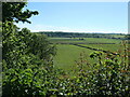 The valley of the River Weaver, near Dutton