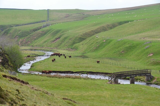 Cattle by the Blythe Water