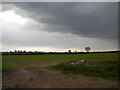 Lowering sky north of Normanton on Soar (1)