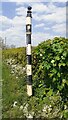 Cumberland County Council finger signpost on NE side of A6071 at Brisco Hill