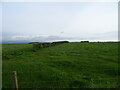 NS4143 : Grassland and hedgerow near Lochside by JThomas