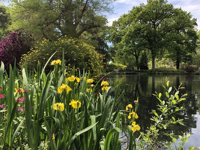View across Top Pond, Exbury Gardens