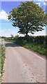 Minor road from A7 at Brisco Hill Bridge towards Longtown