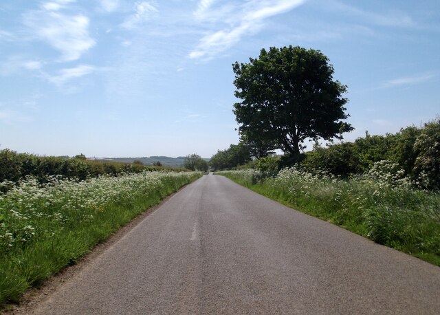 Country road south of Coleby