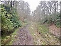 Cutting, Blane Valley Railway