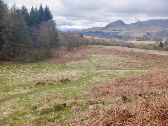 Former fields, Carbeth Hill © Richard Webb cc-by-sa/2.0 :: Geograph ...