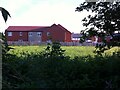 New housing on Thomas Biddle Lane, seen from the Coventry Canal