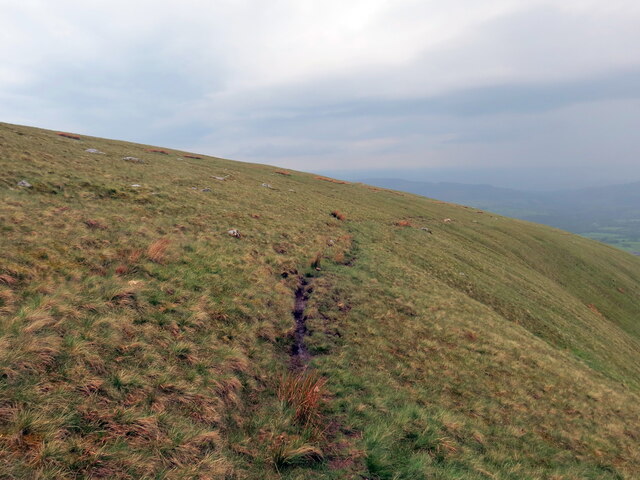 Llwybr defaid ar fryn / Sheepwalk on a hill