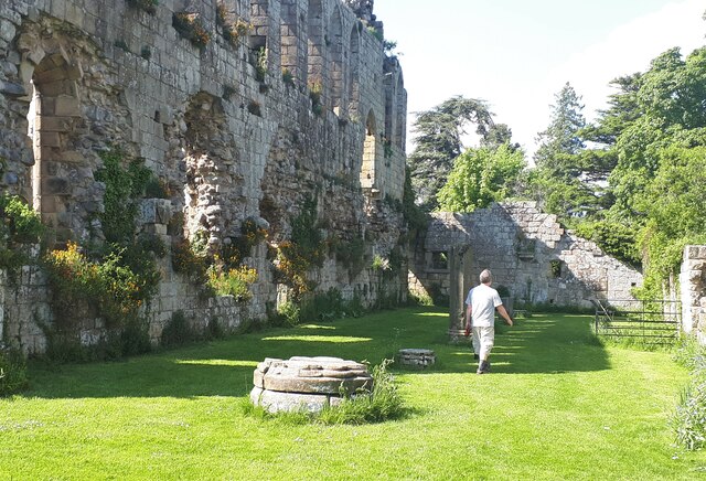 In the ruined Jervaulx Abbey