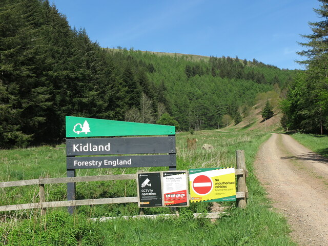 Kidland Forest Signage