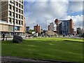 Grass at Masshouse Plaza, Birmingham