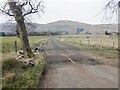 Road to Lawmuir Wood